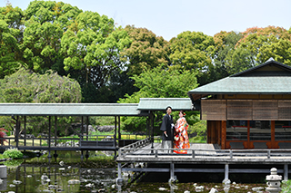 白鳥庭園008